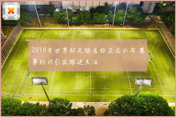 2010年世界杯足球名称正式公布 赛事标识引发球迷关注